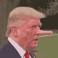 donald trump with long nose